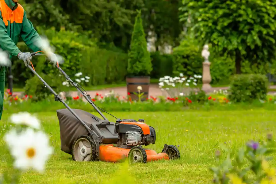 Lawn Mowing Service